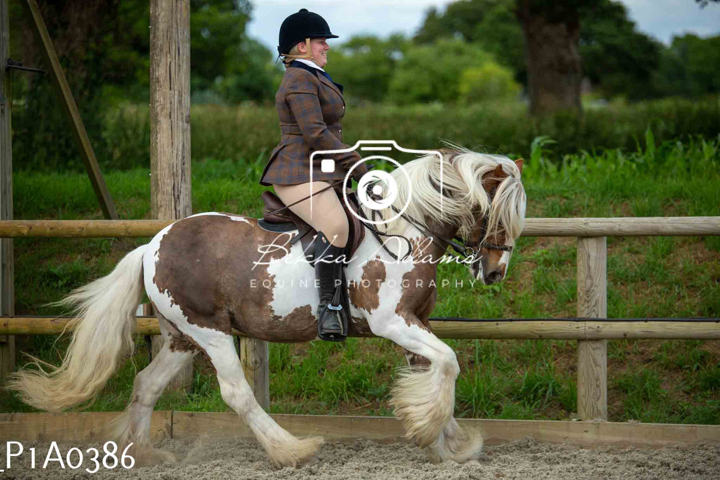 Home Farm Showing - 19th June
