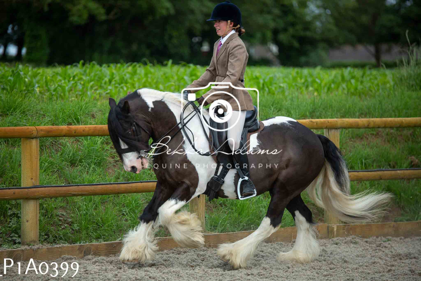 Home Farm Showing - 19th June