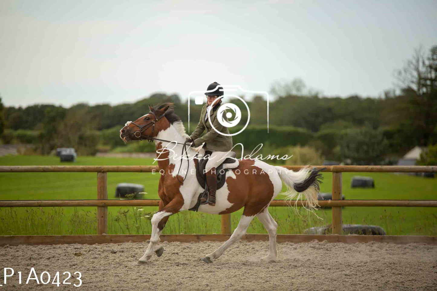 Home Farm Showing - 19th June