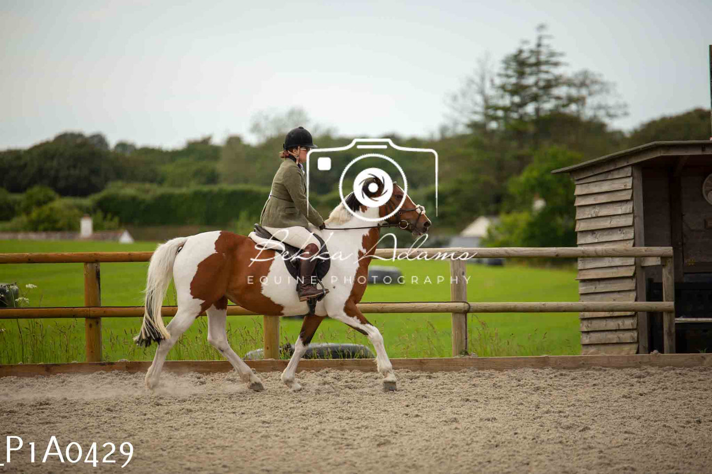 Home Farm Showing - 19th June