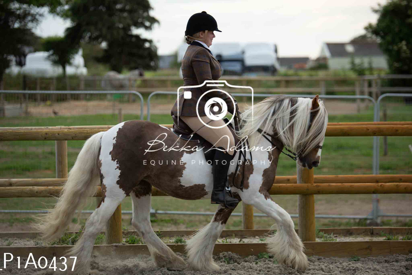 Home Farm Showing - 19th June