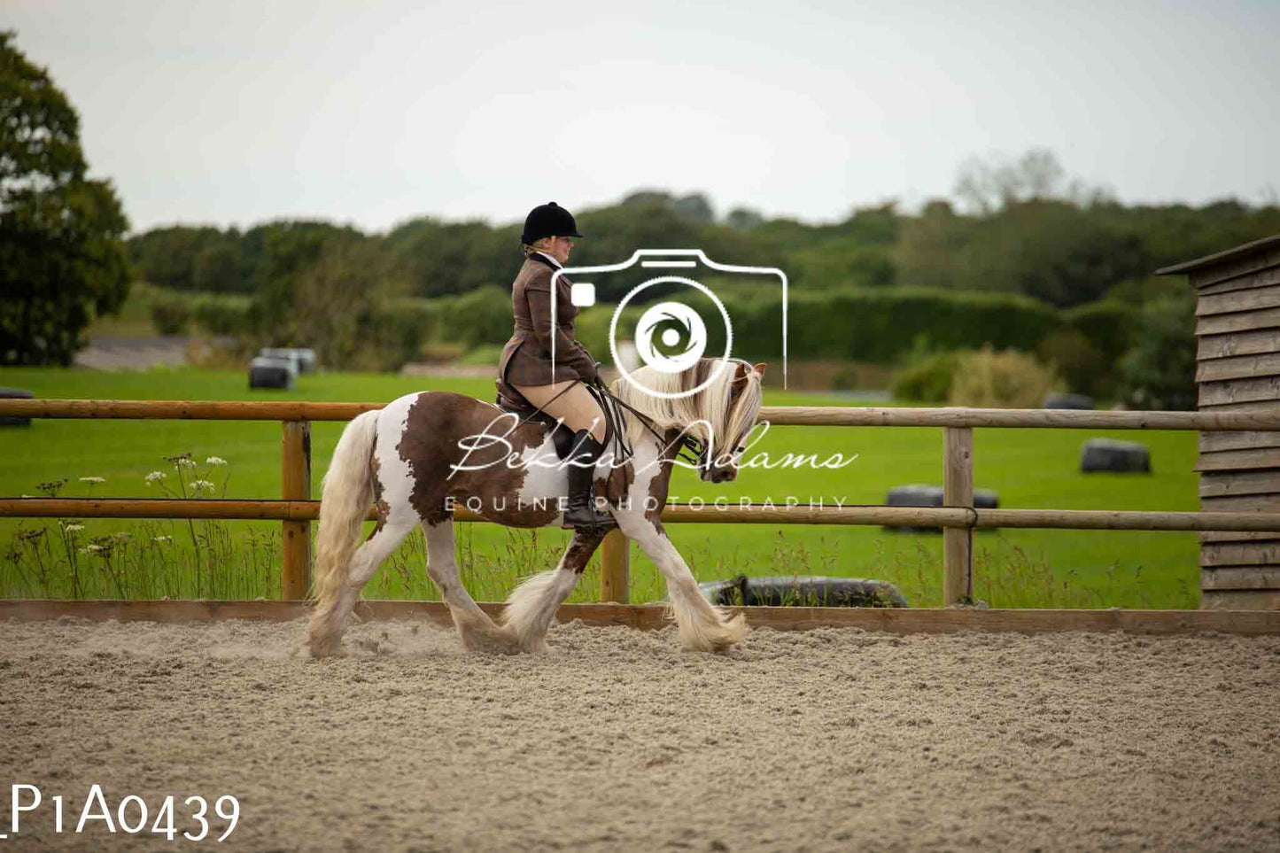 Home Farm Showing - 19th June