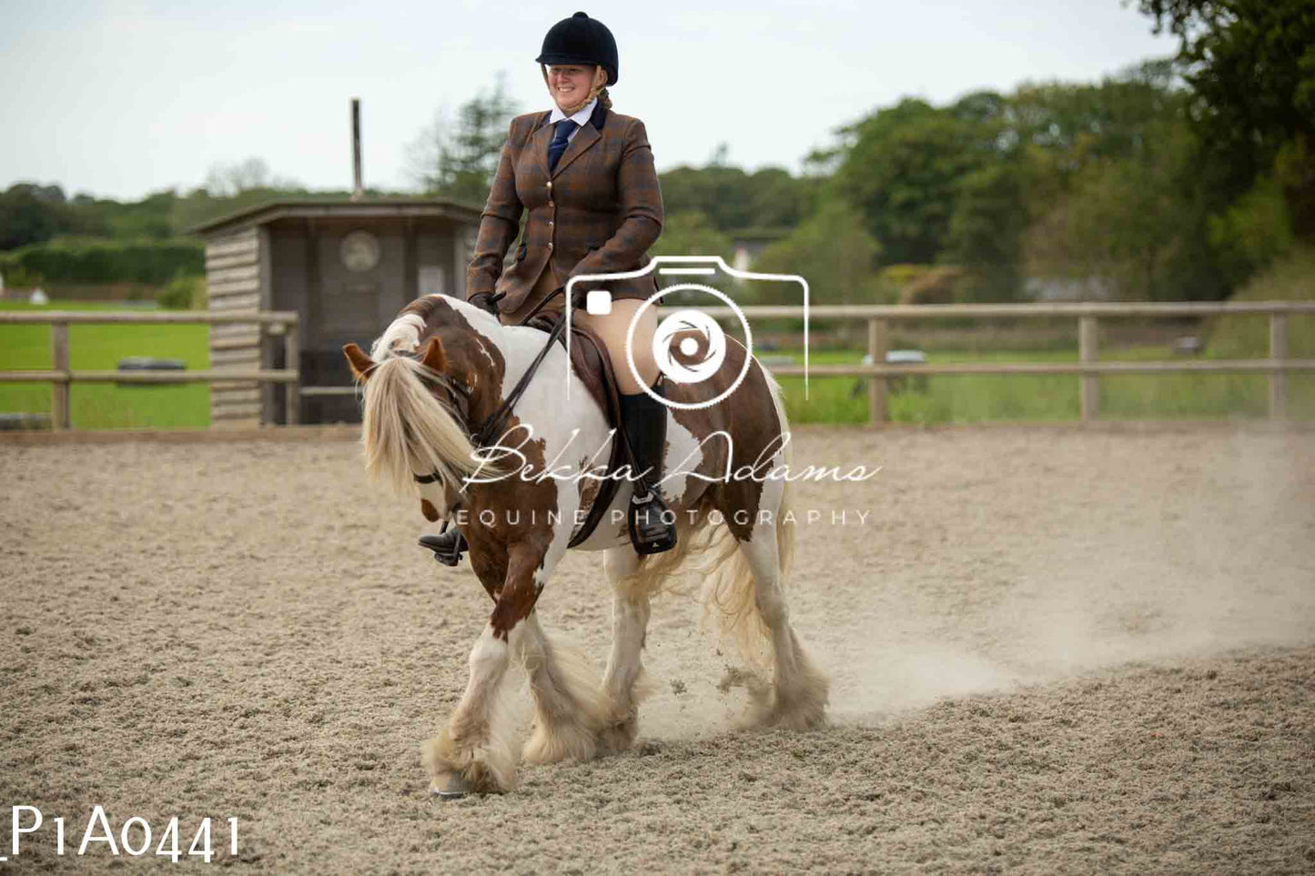 Home Farm Showing - 19th June