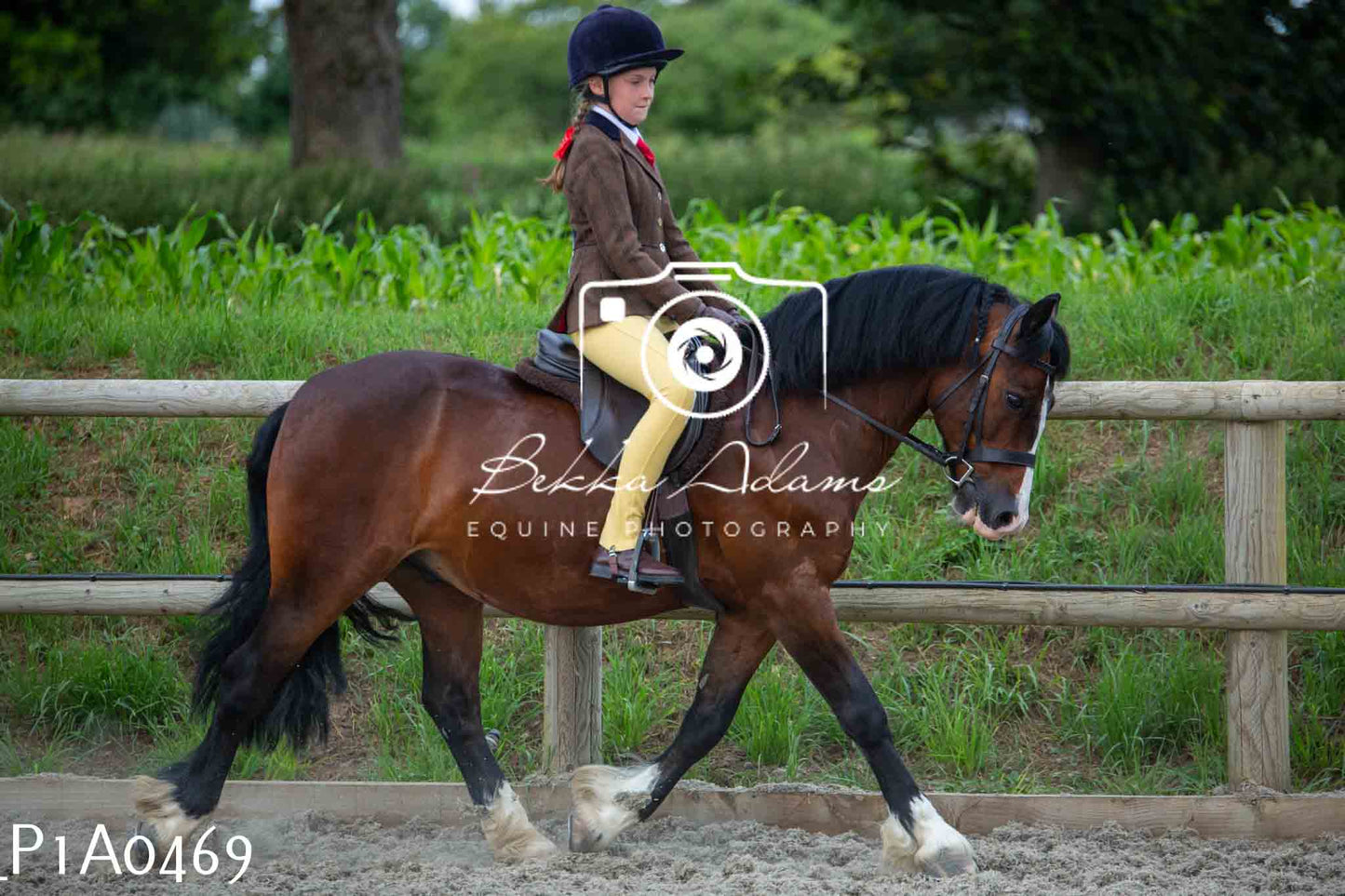 Home Farm Showing - 19th June