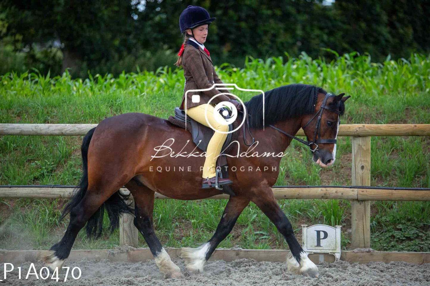 Home Farm Showing - 19th June