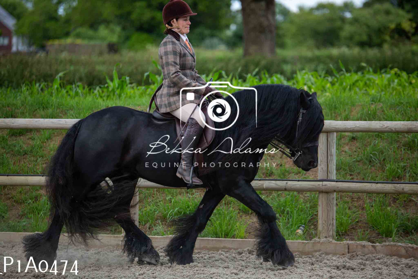 Home Farm Showing - 19th June