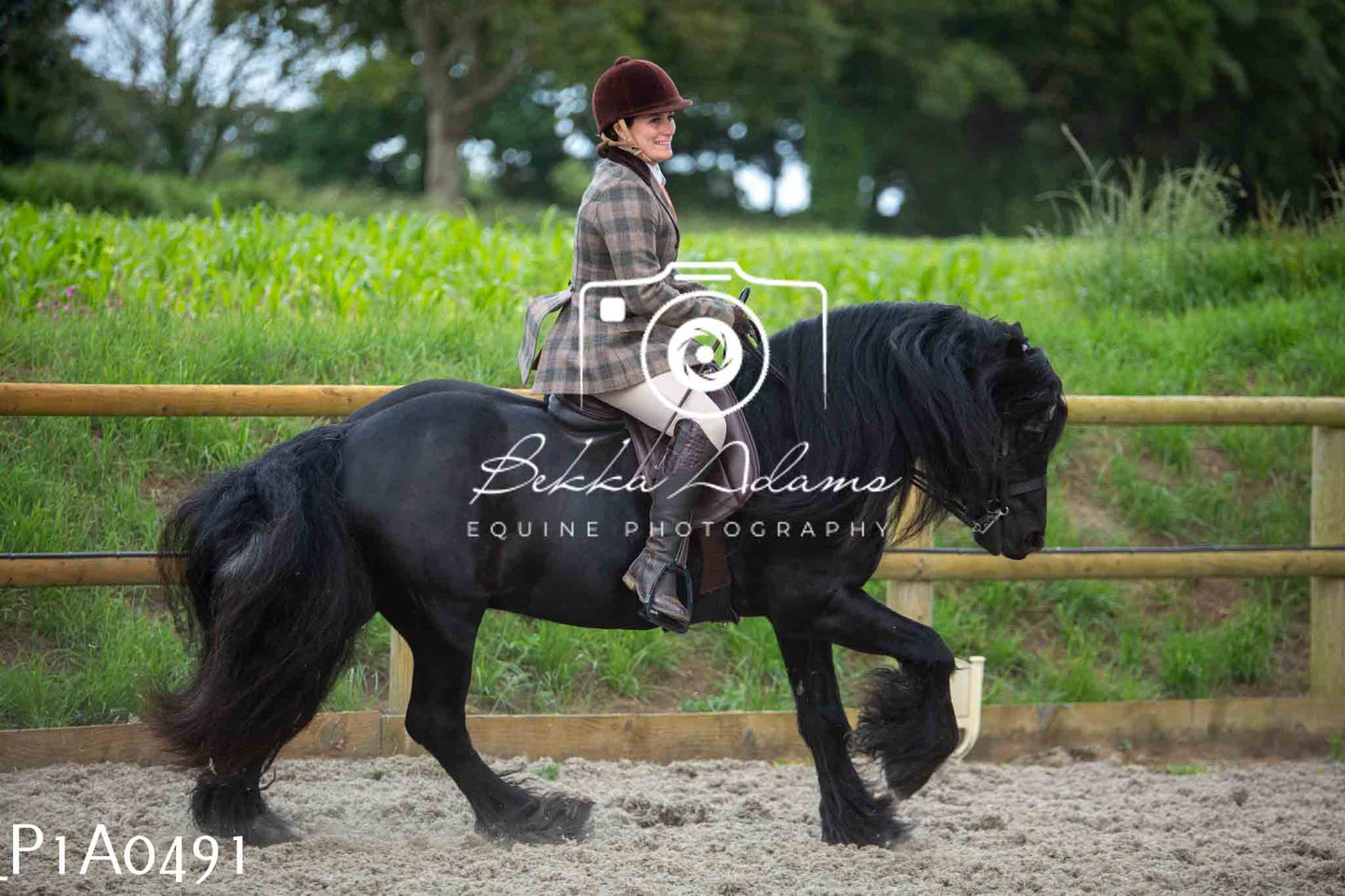 Home Farm Showing - 19th June
