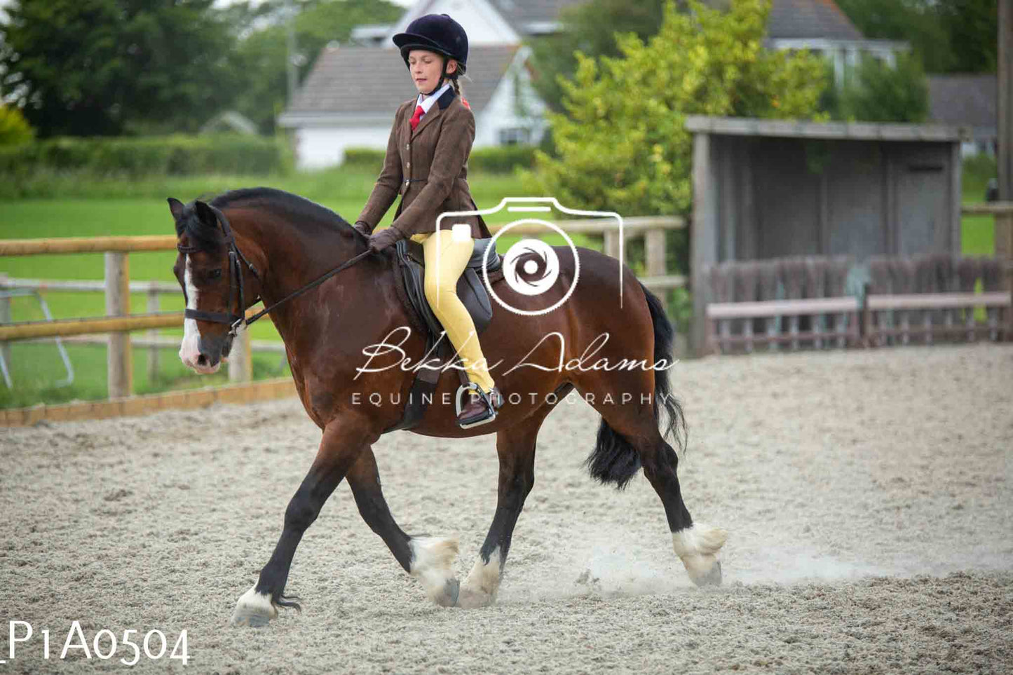 Home Farm Showing - 19th June