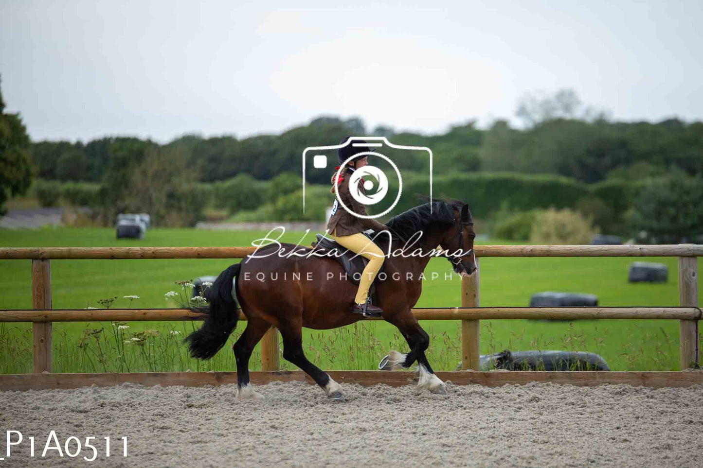 Home Farm Showing - 19th June