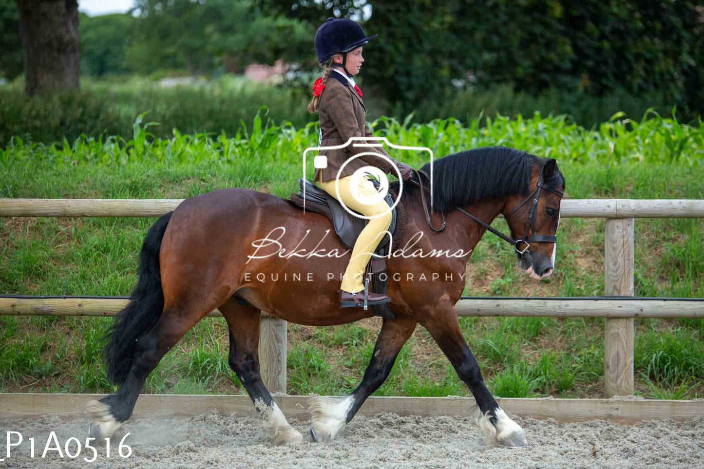 Home Farm Showing - 19th June