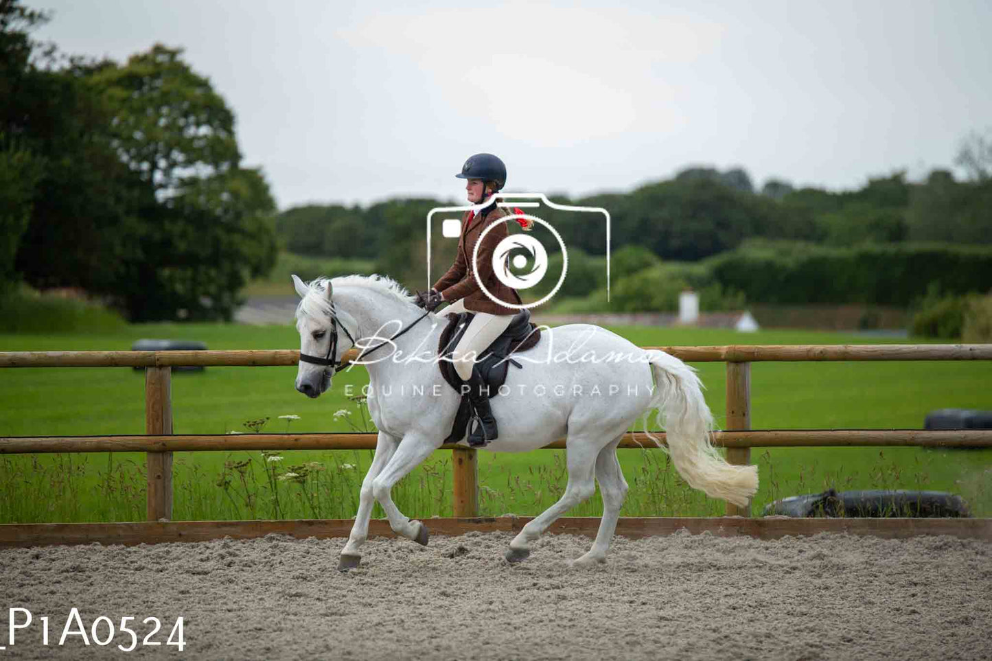 Home Farm Showing - 19th June