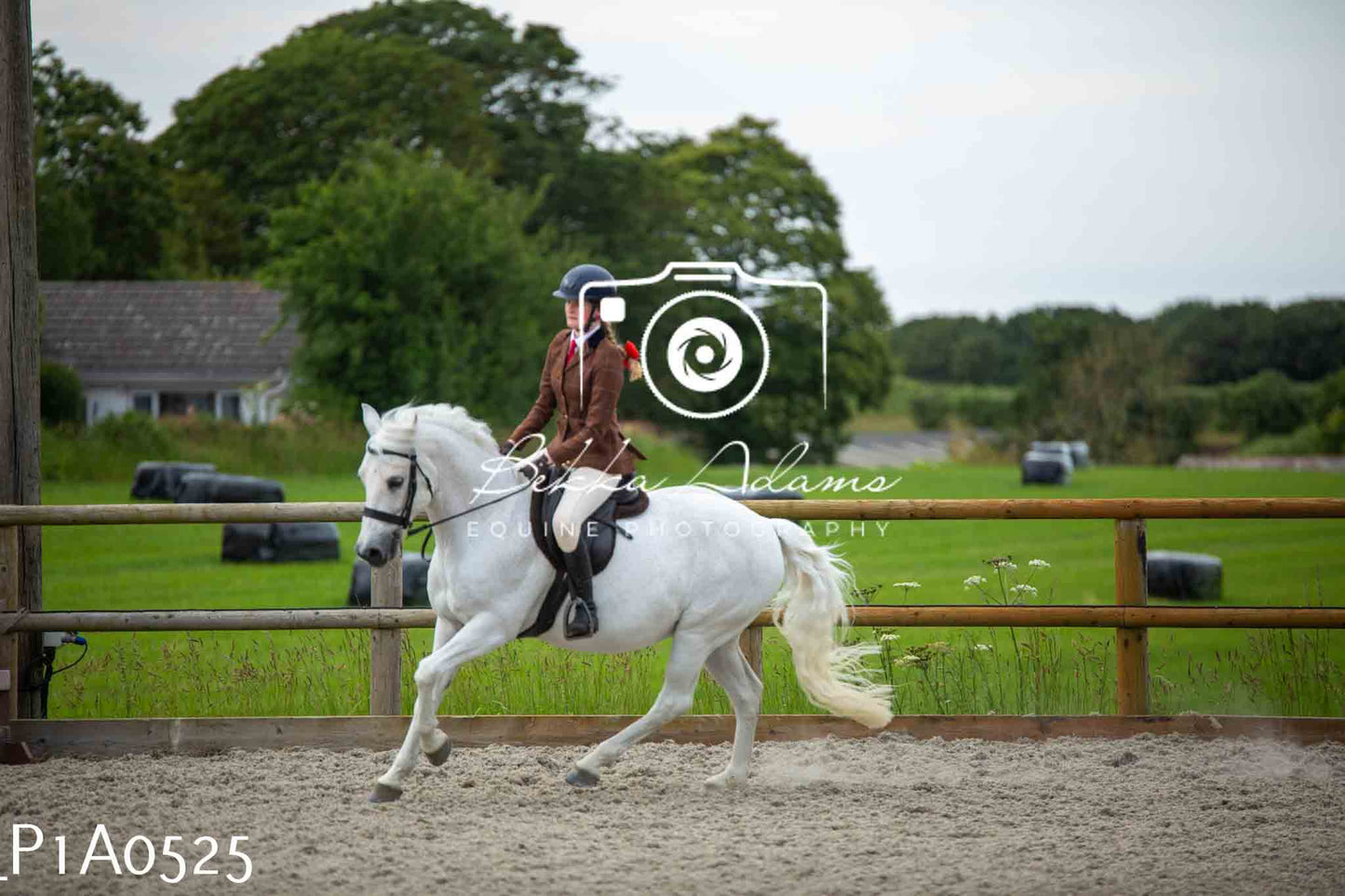 Home Farm Showing - 19th June