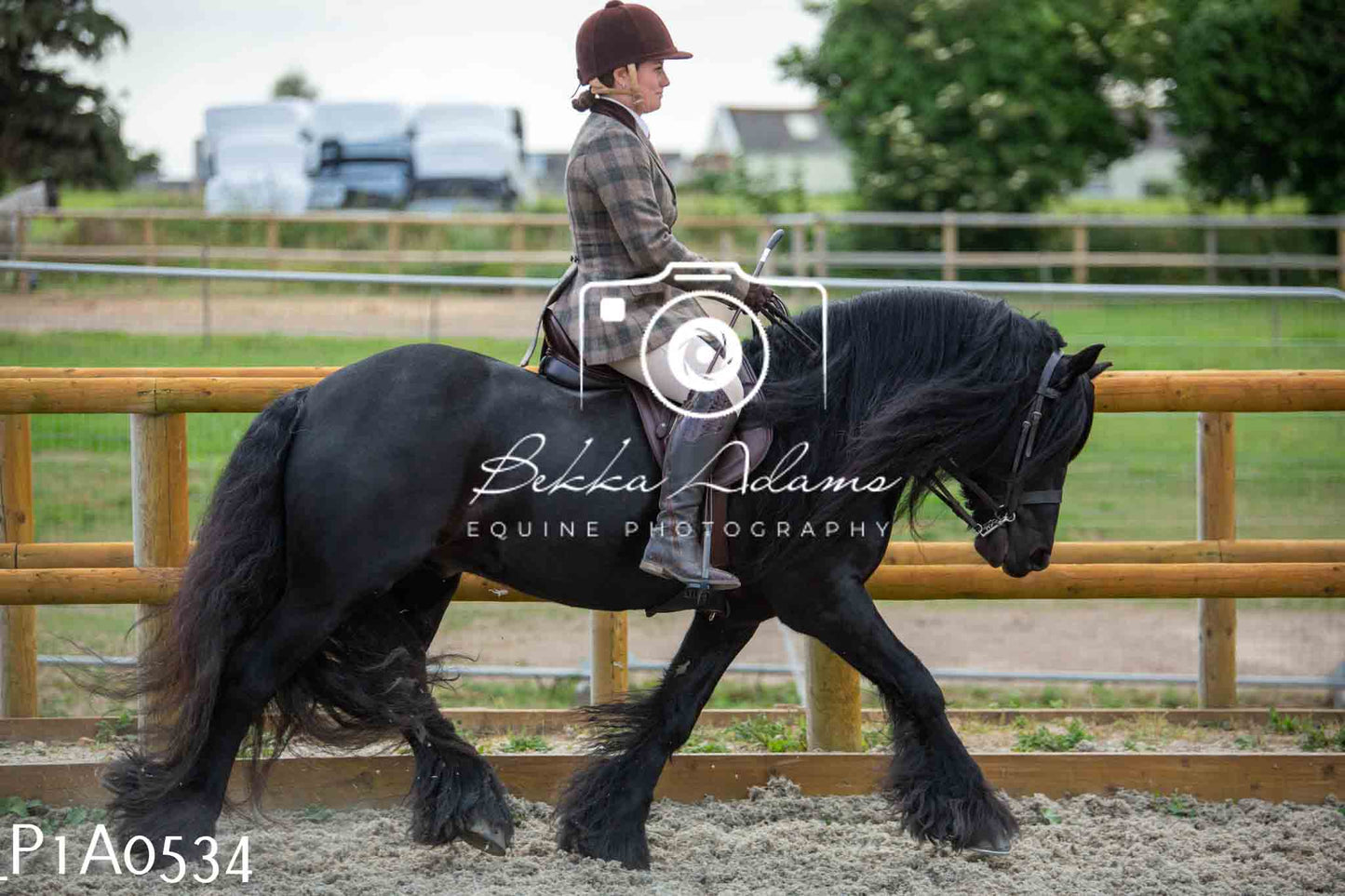 Home Farm Showing - 19th June