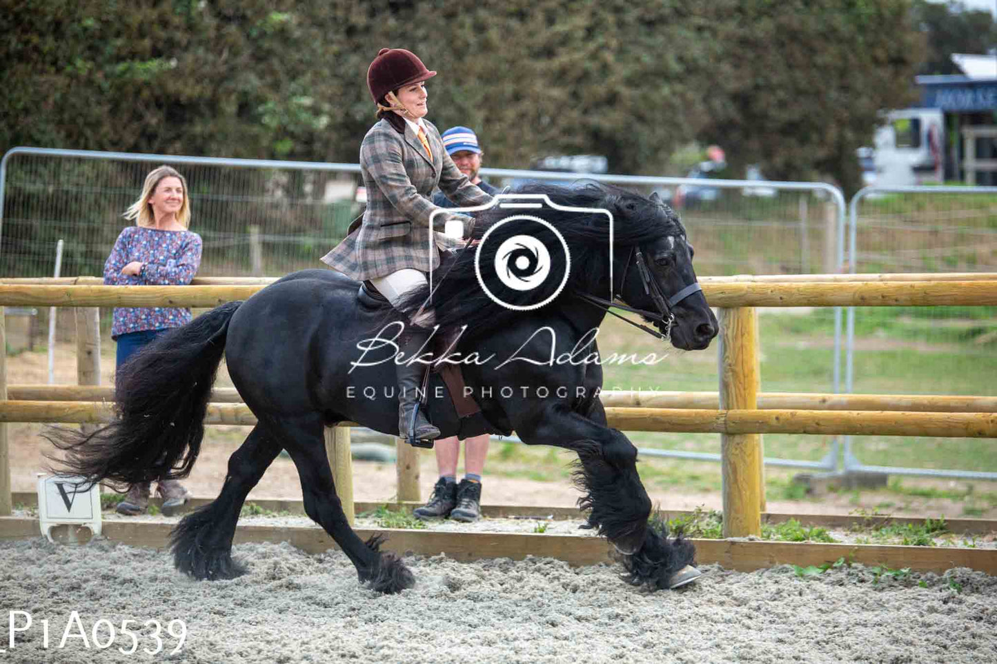 Home Farm Showing - 19th June