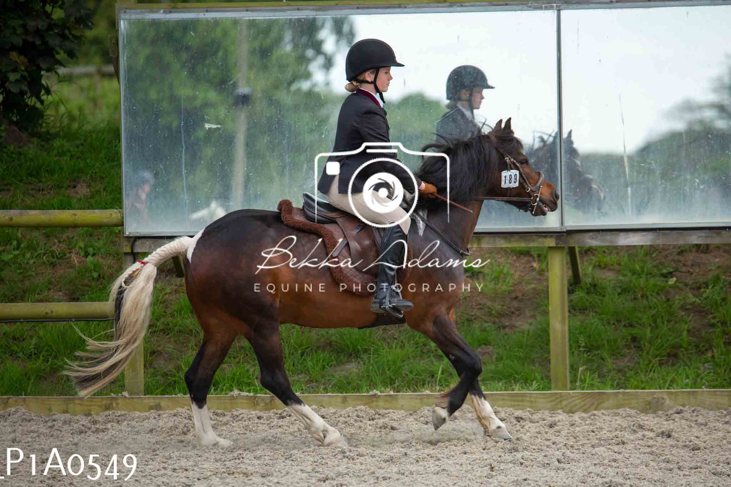 Home Farm Showing - 19th June