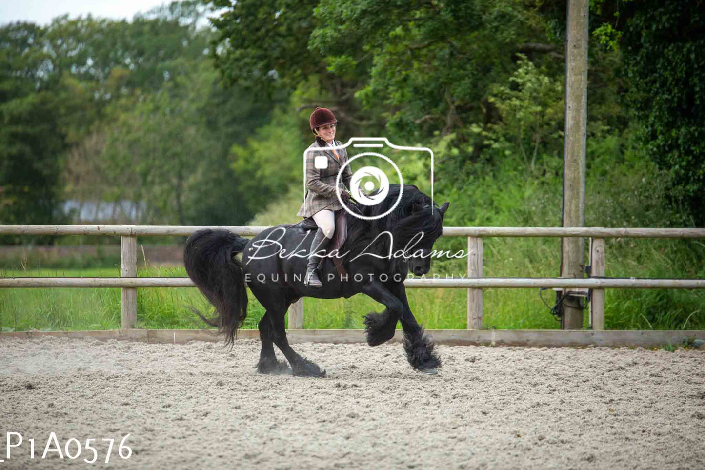 Home Farm Showing - 19th June