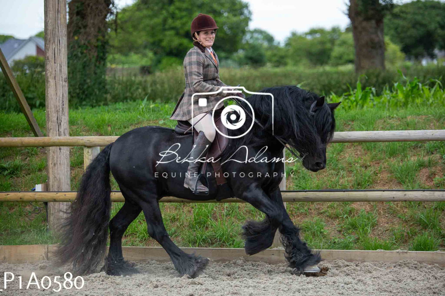 Home Farm Showing - 19th June