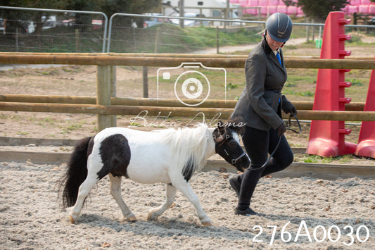 Home Farm Annual Show 2025 - Inhand Pt 3