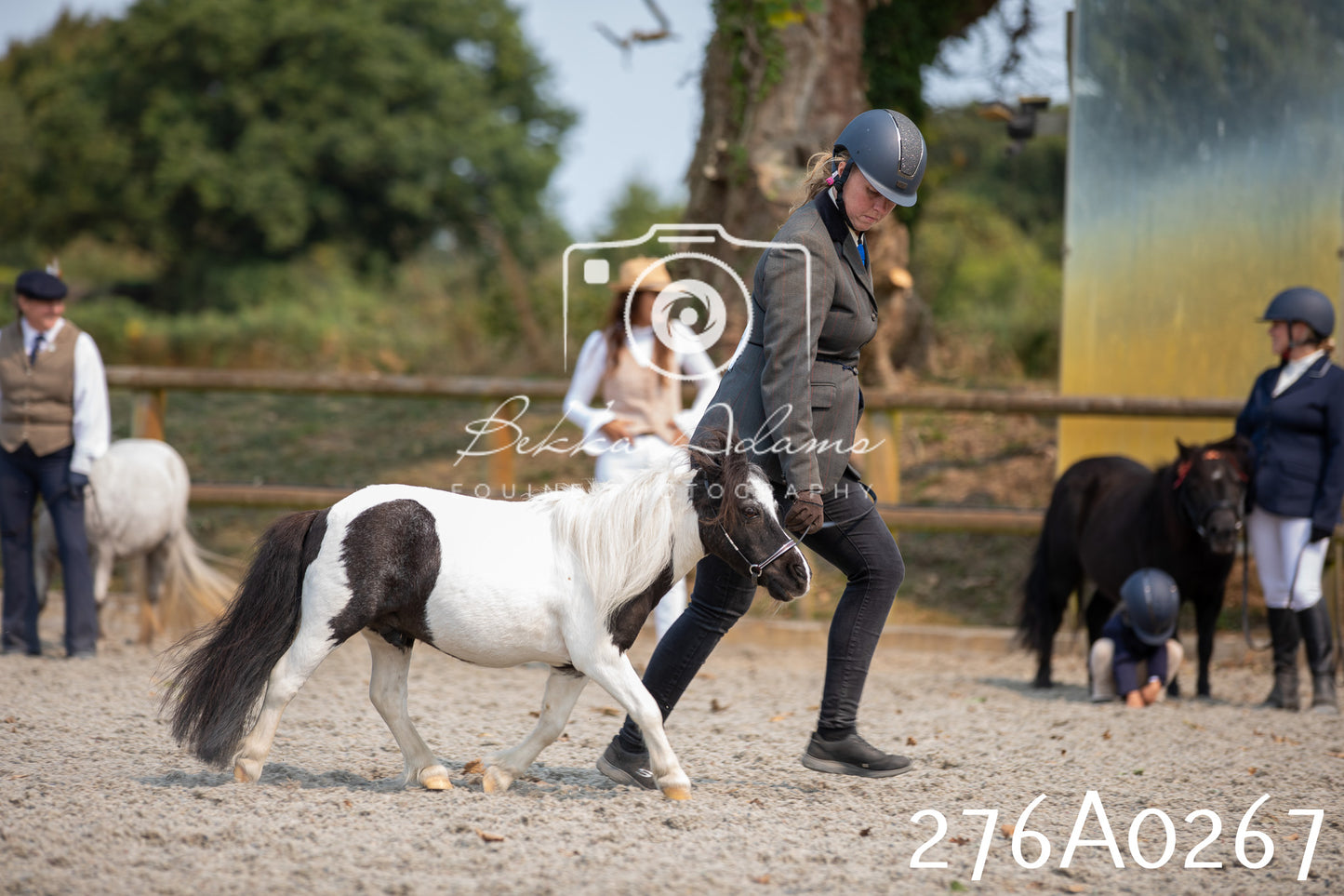 Home Farm Annual Show 2025 - Inhand Pt 3