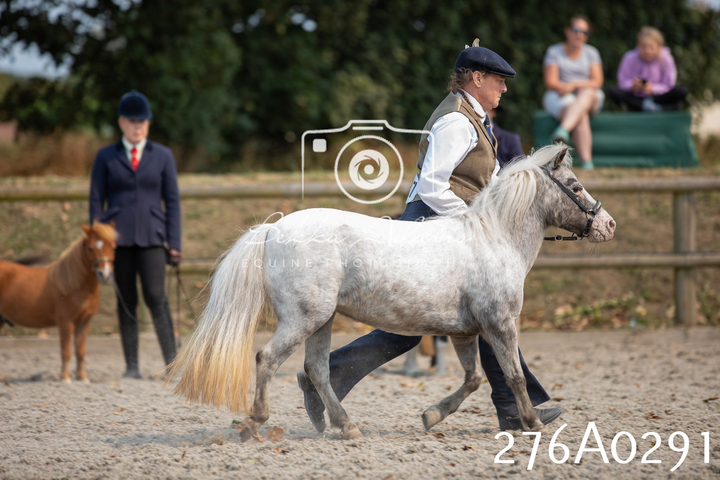 Home Farm Annual Show 2025 - Inhand Pt 3