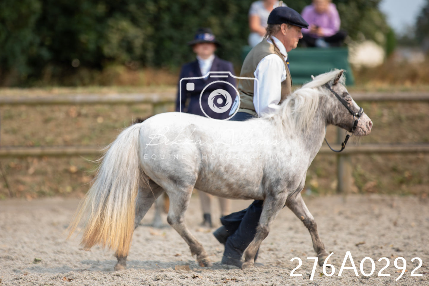 Home Farm Annual Show 2025 - Inhand Pt 3