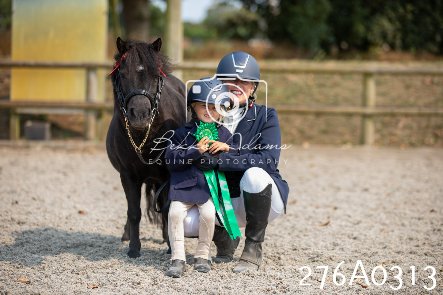 Home Farm Annual Show 2025 - Inhand Pt 3