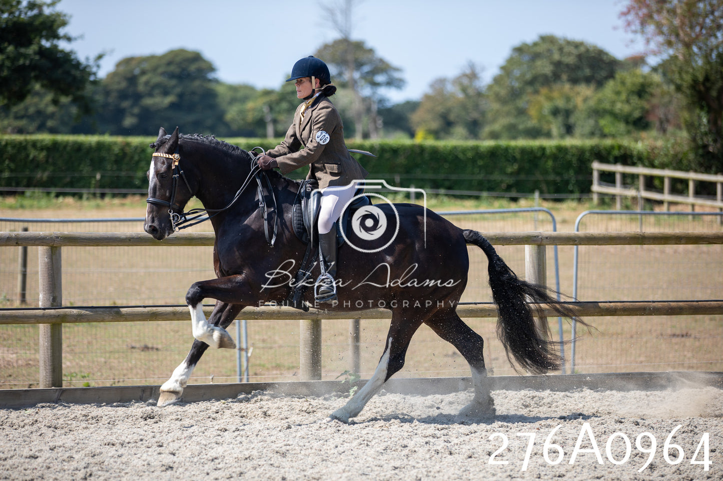 Home Farm Annual Show 2025 - Ridden Pt 1