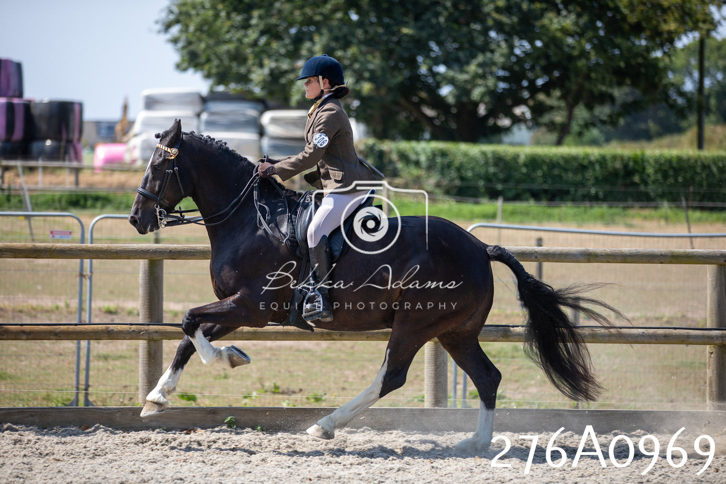 Home Farm Annual Show 2025 - Ridden Pt 1