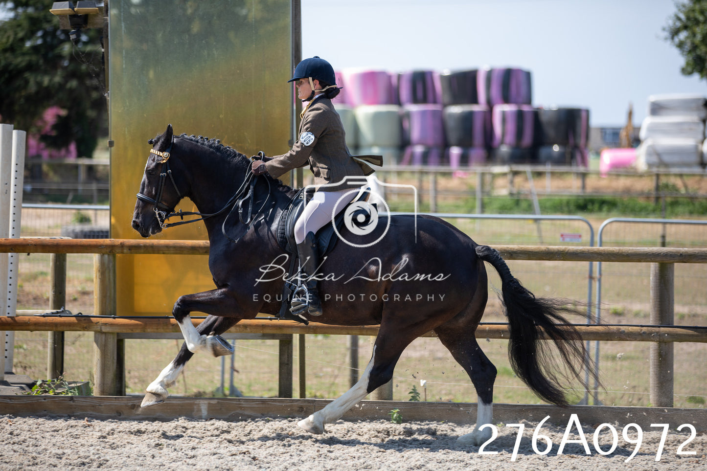 Home Farm Annual Show 2025 - Ridden Pt 1