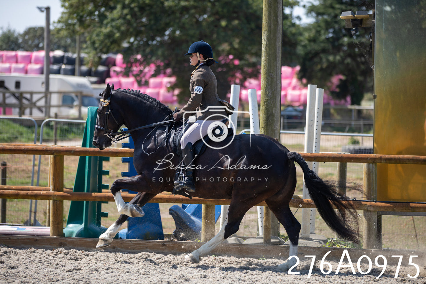 Home Farm Annual Show 2025 - Ridden Pt 1