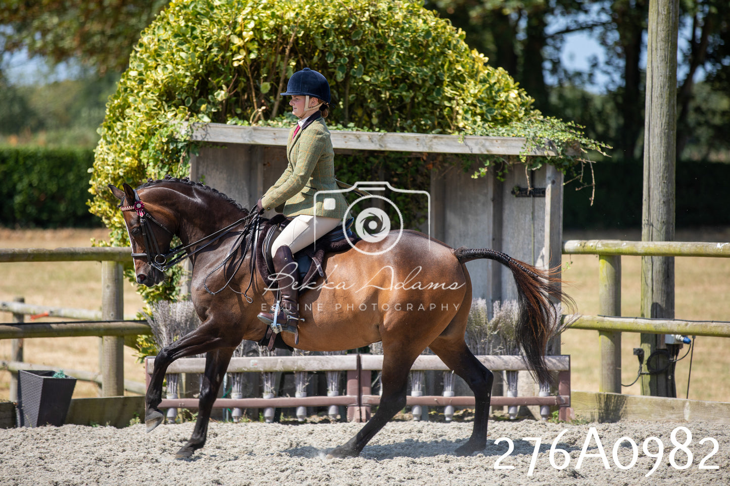 Home Farm Annual Show 2025 - Ridden Pt 1