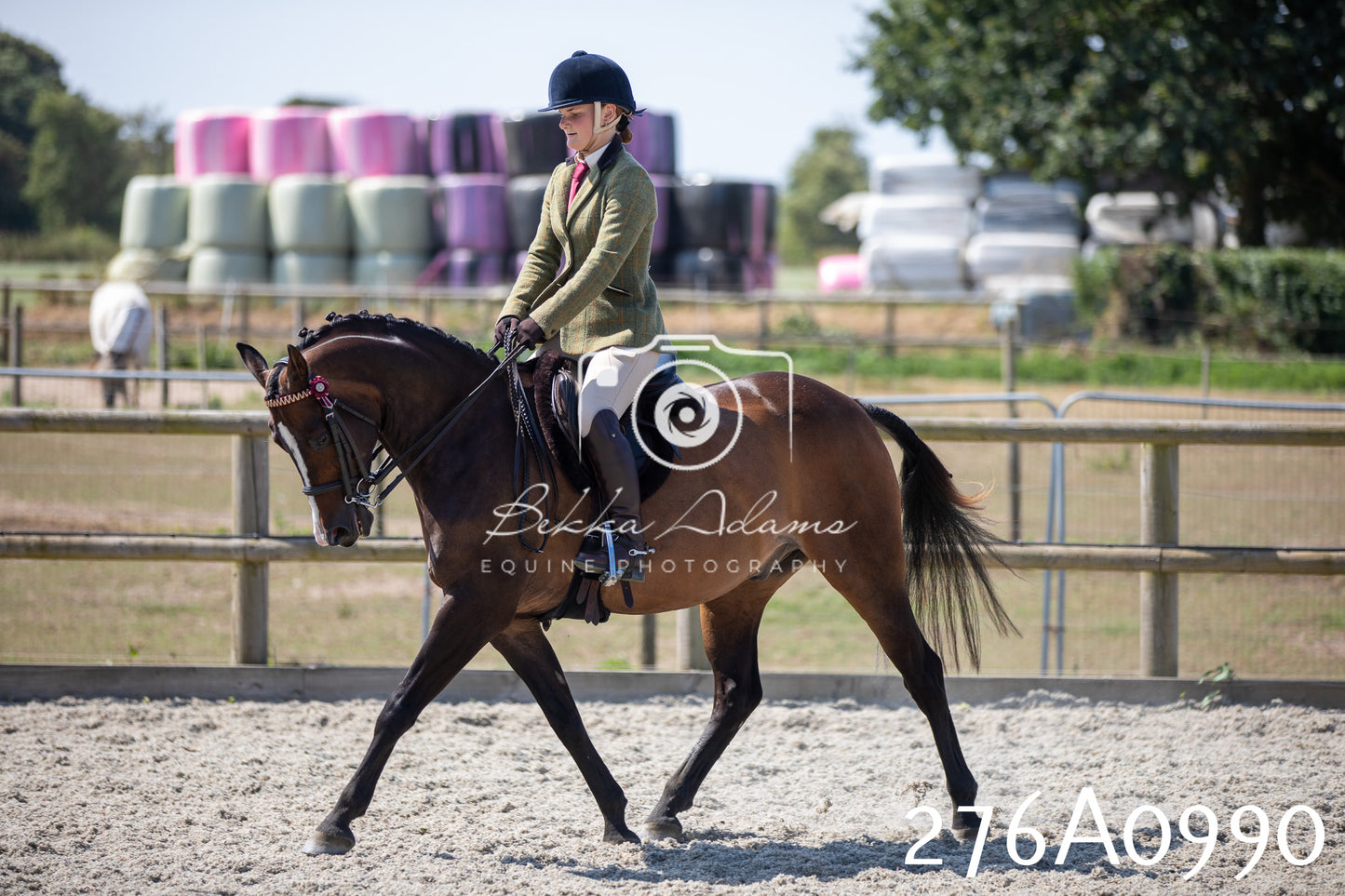 Home Farm Annual Show 2025 - Ridden Pt 1