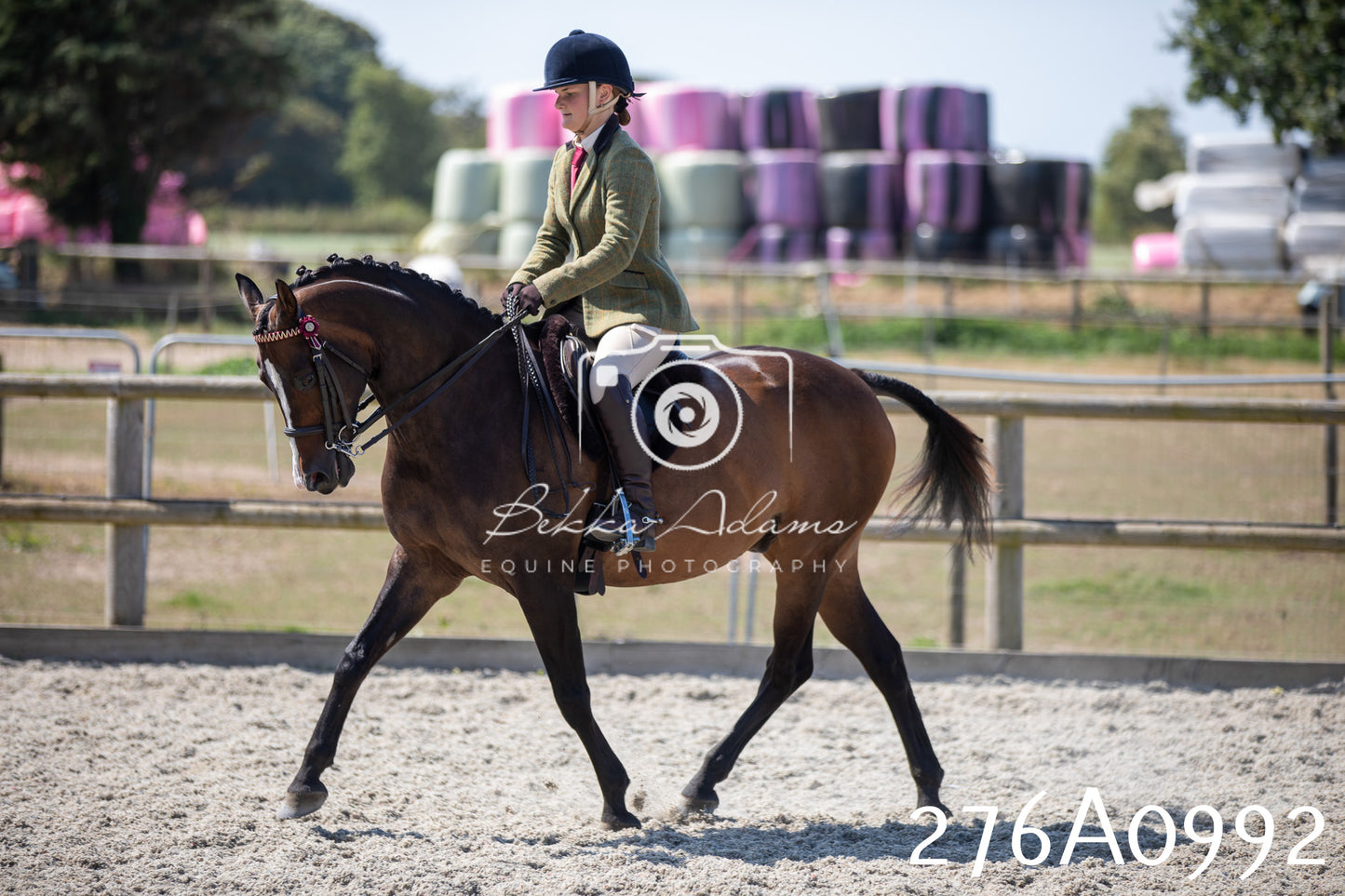 Home Farm Annual Show 2025 - Ridden Pt 1