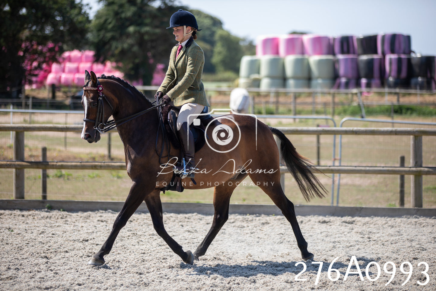 Home Farm Annual Show 2025 - Ridden Pt 1