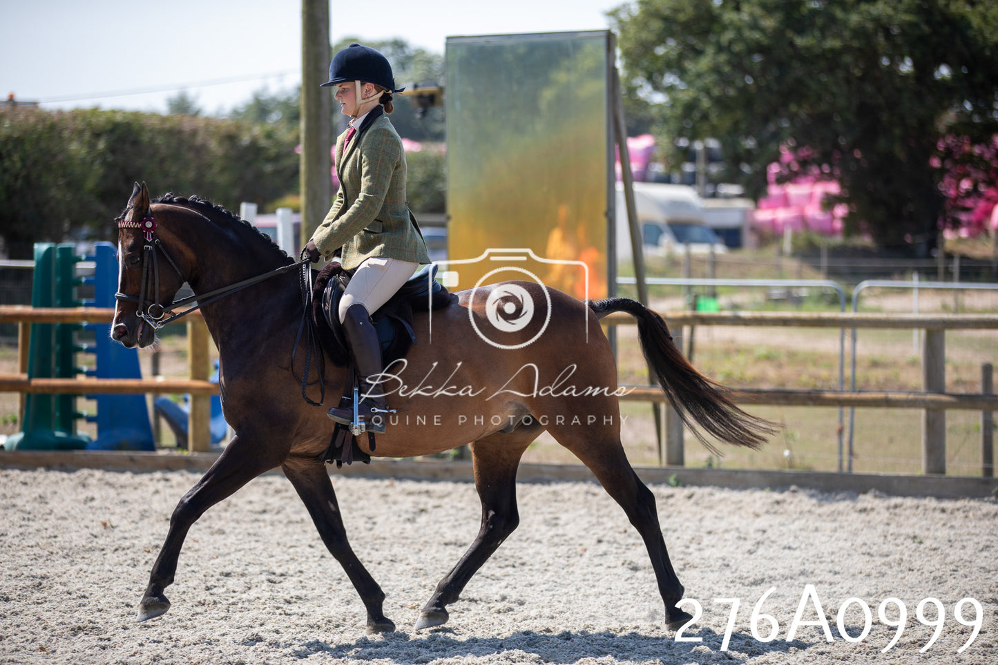 Home Farm Annual Show 2025 - Ridden Pt 1
