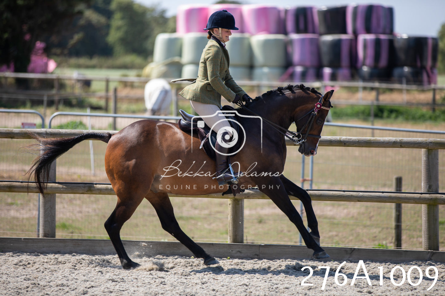 Home Farm Annual Show 2025 - Ridden Pt 1