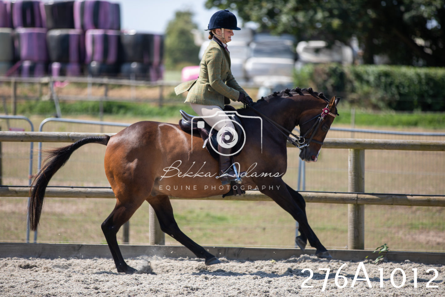 Home Farm Annual Show 2025 - Ridden Pt 1