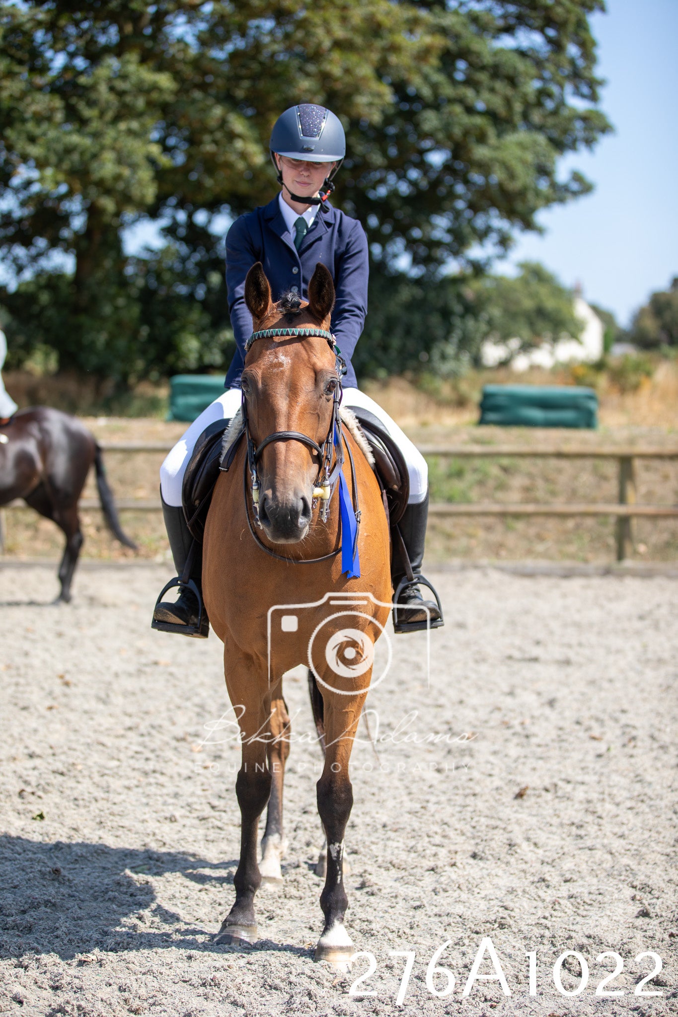 Home Farm Annual Show 2025 - Ridden Pt 1