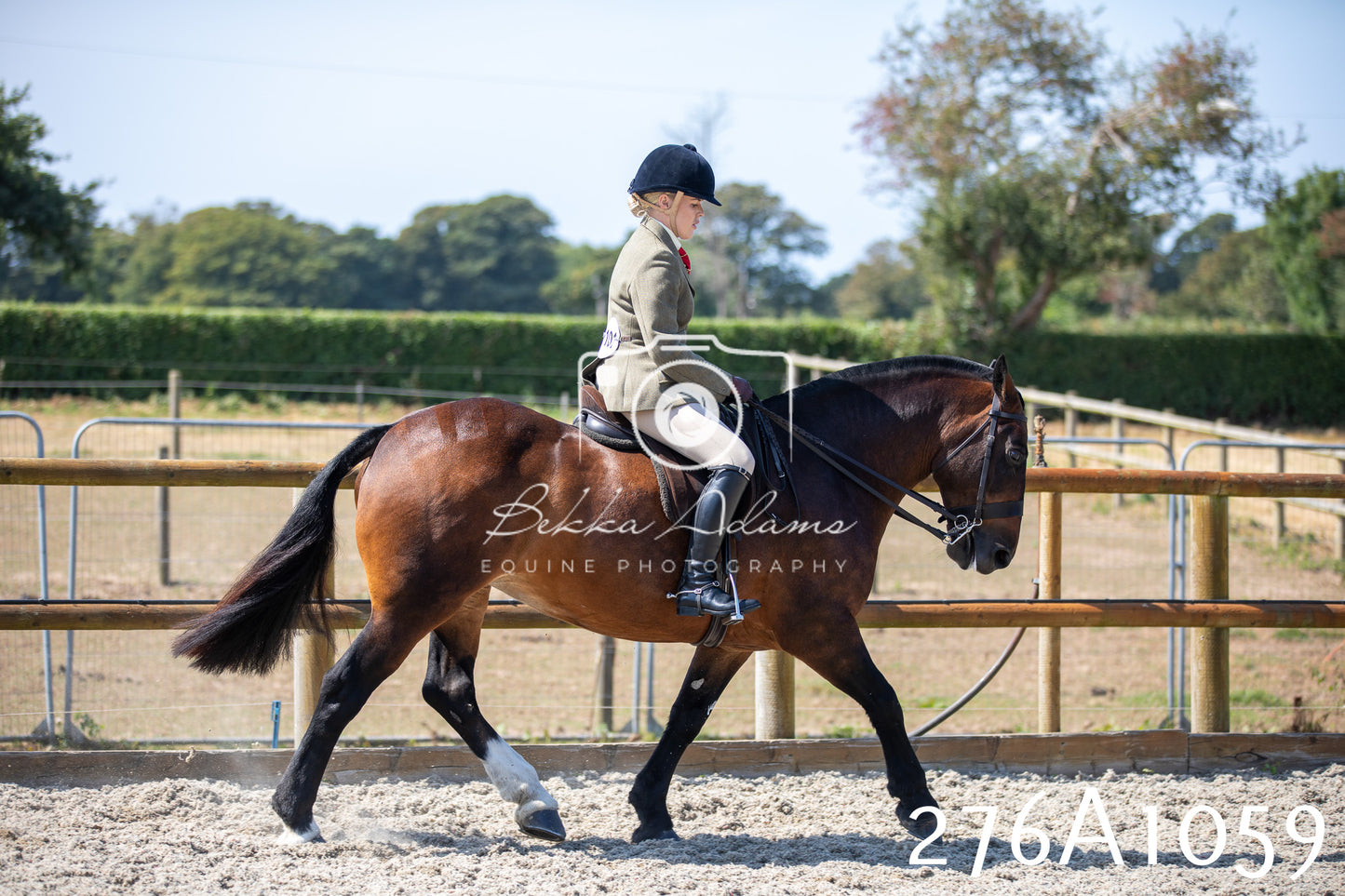 Home Farm Annual Show 2025 - Ridden Pt 1