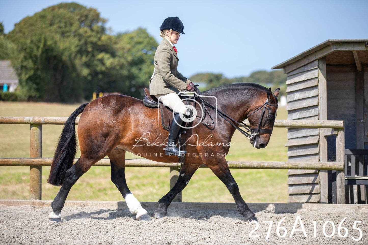 Home Farm Annual Show 2025 - Ridden Pt 1
