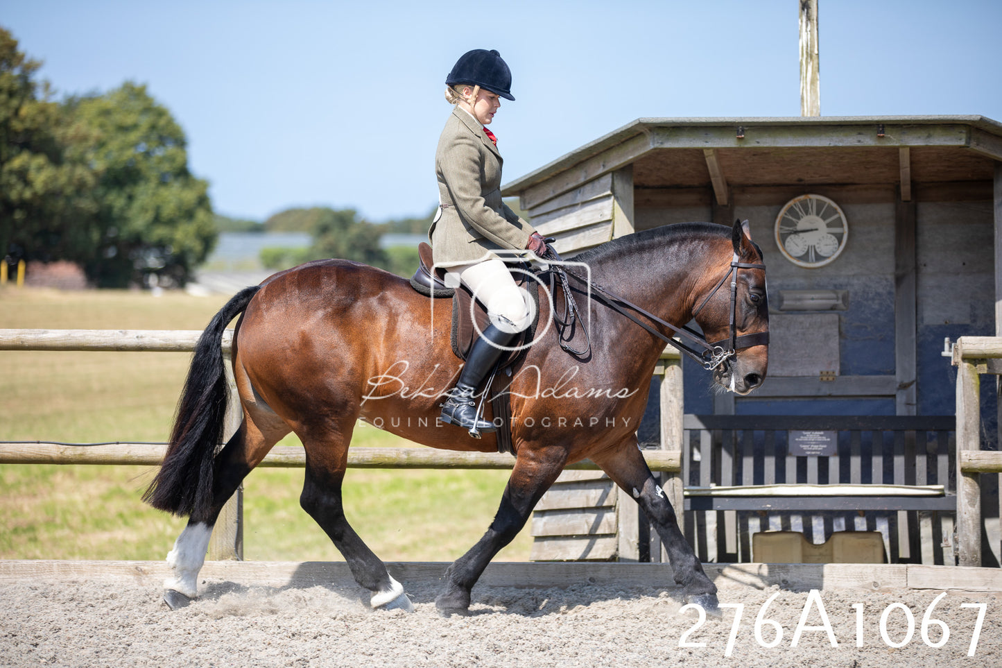 Home Farm Annual Show 2025 - Ridden Pt 1
