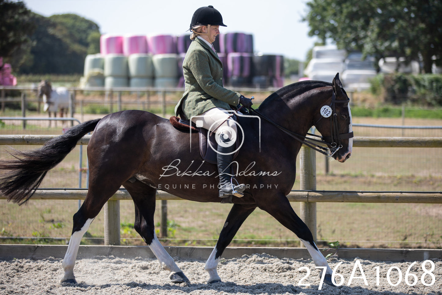 Home Farm Annual Show 2025 - Ridden Pt 1
