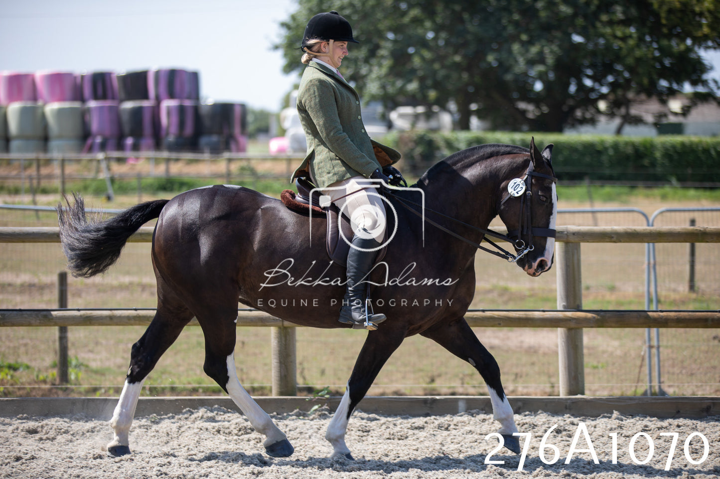 Home Farm Annual Show 2025 - Ridden Pt 1