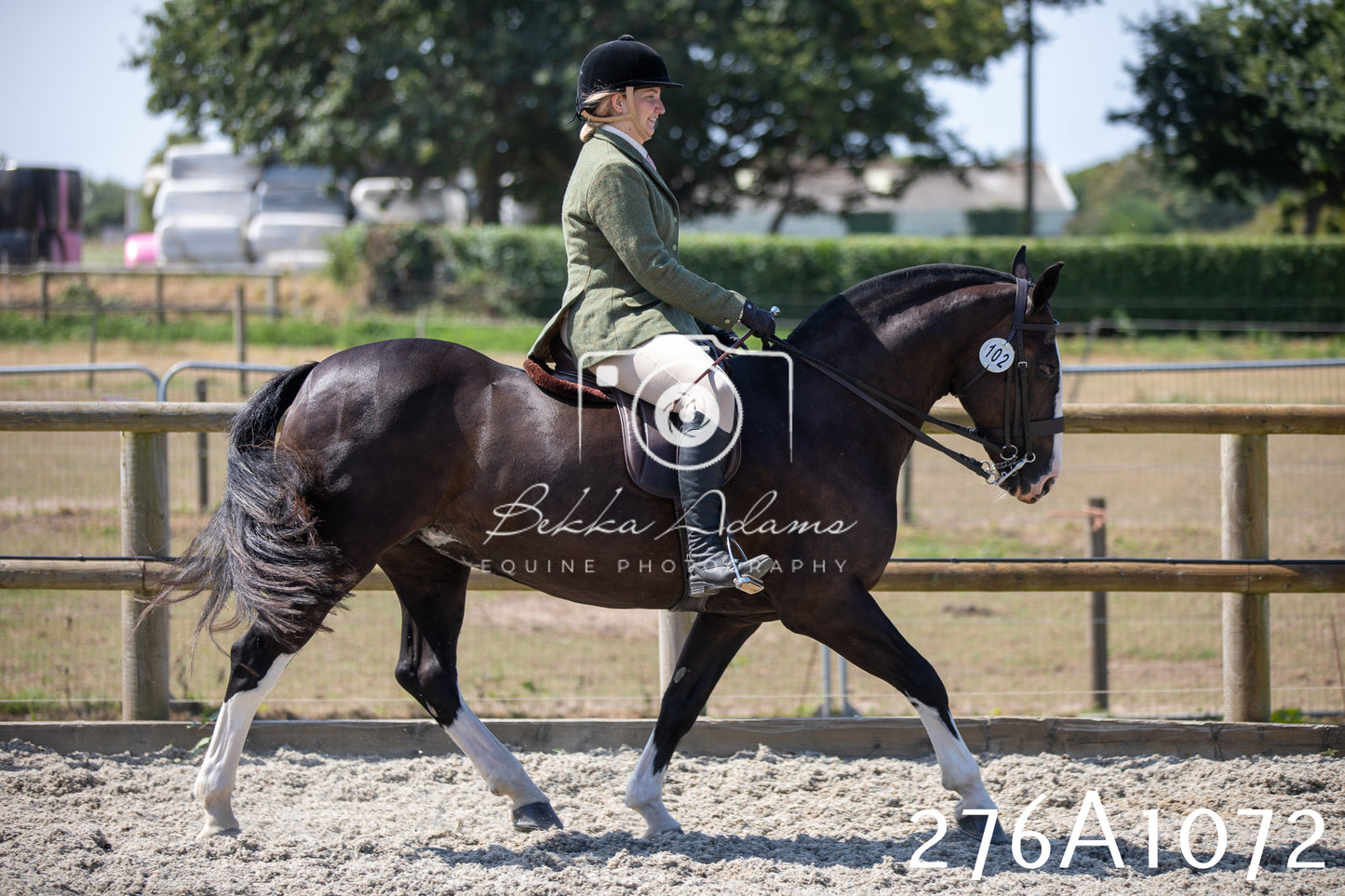 Home Farm Annual Show 2025 - Ridden Pt 1