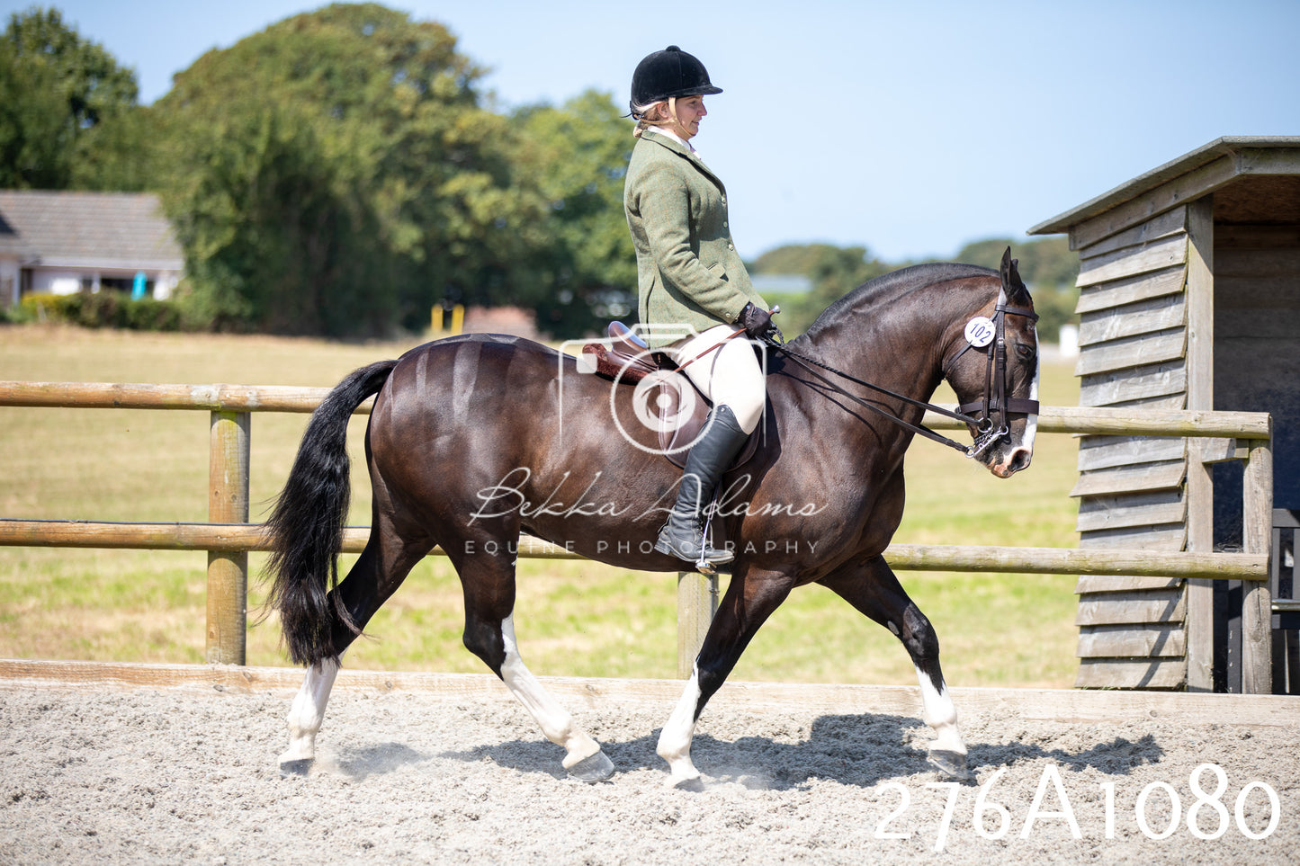 Home Farm Annual Show 2025 - Ridden Pt 1