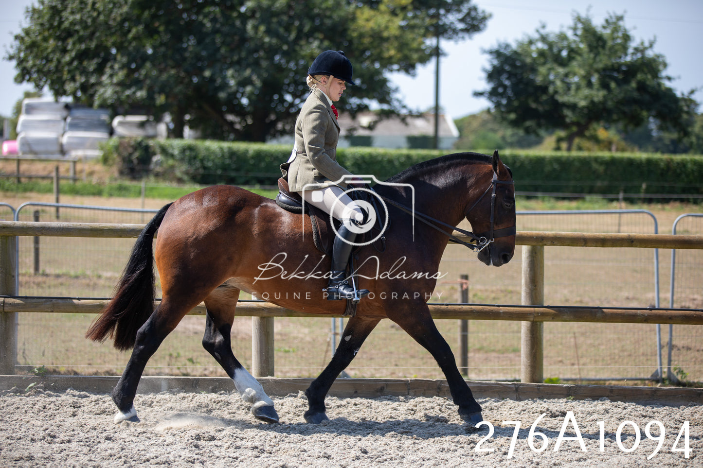 Home Farm Annual Show 2025 - Ridden Pt 1