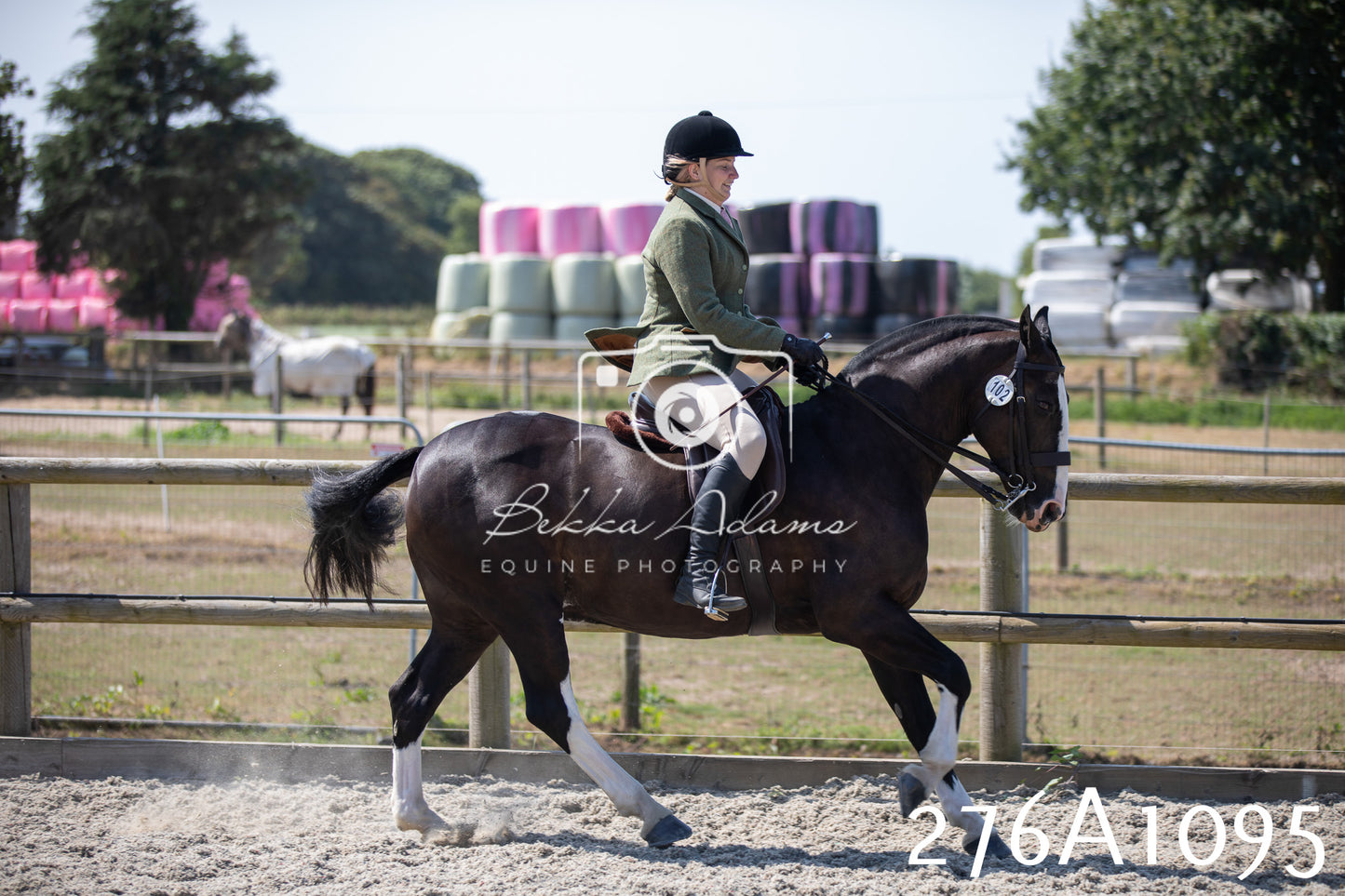 Home Farm Annual Show 2025 - Ridden Pt 1