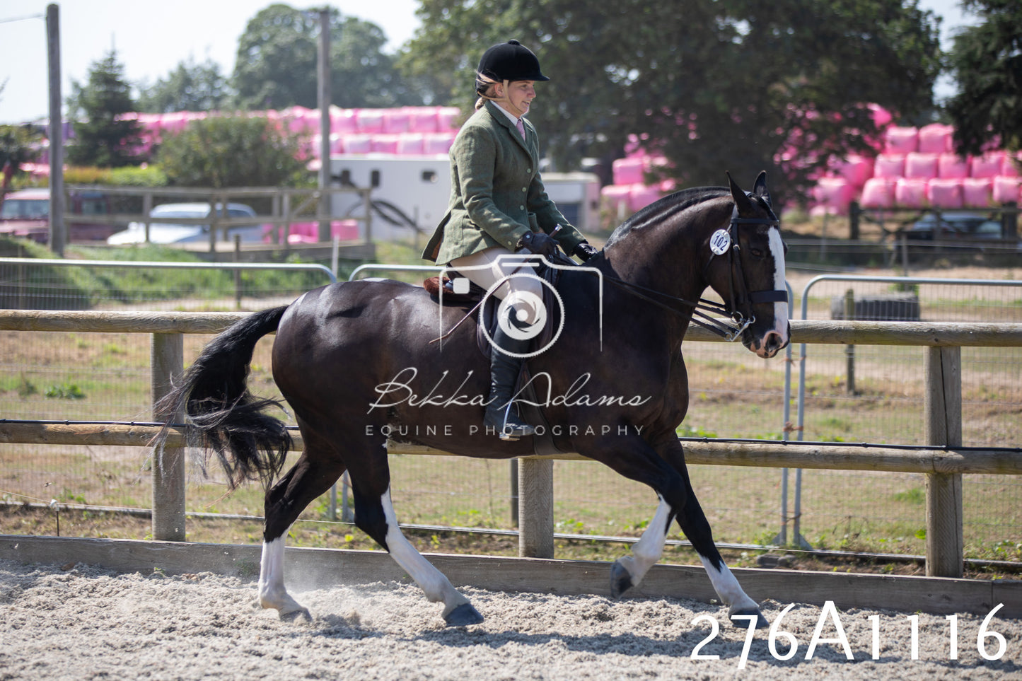 Home Farm Annual Show 2025 - Ridden Pt 1