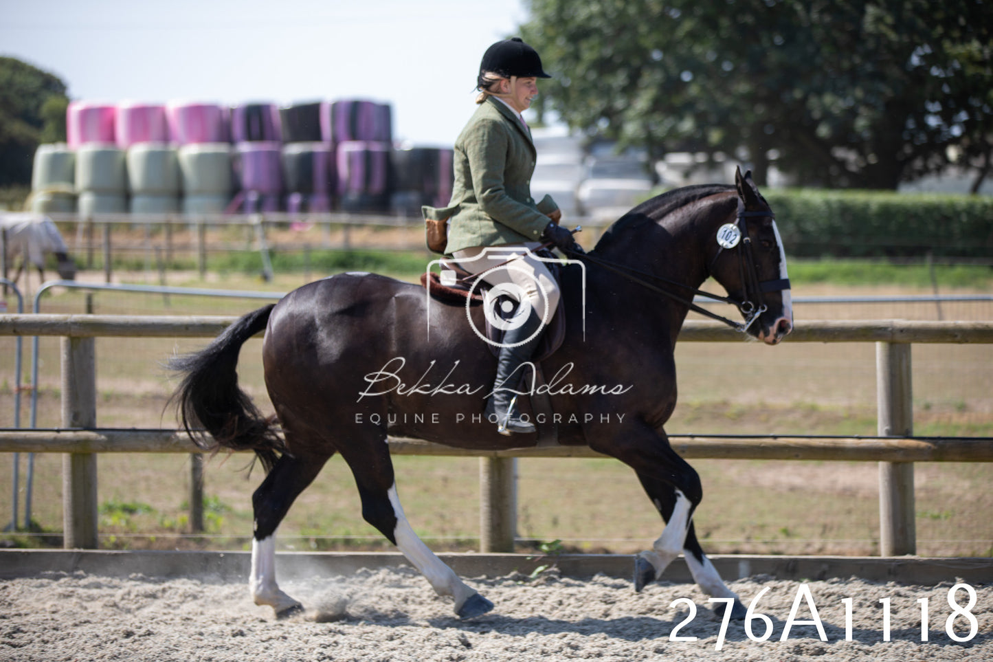 Home Farm Annual Show 2025 - Ridden Pt 1