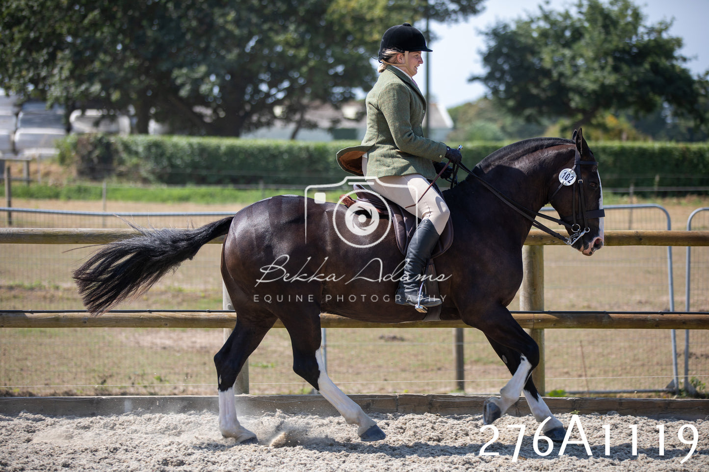 Home Farm Annual Show 2025 - Ridden Pt 1
